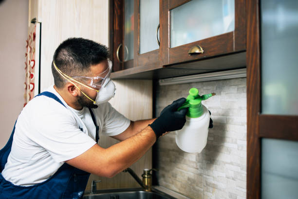 Pest Prevention Services in Little Canada, MN