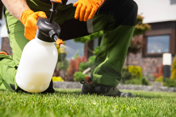 Best Best Pest Control Companies  in Little Canada, MN