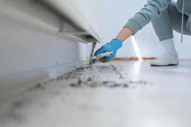Little Canada, MN Pest Control Company
